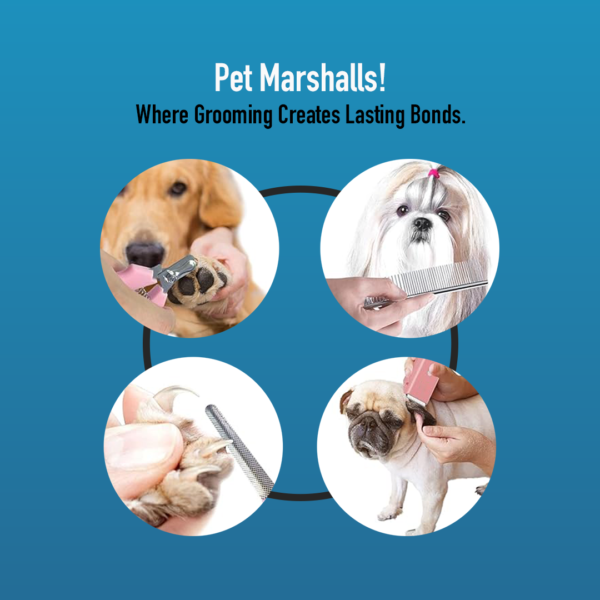 Pet hair clipper Set by Step Guide