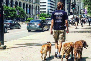 Dog Walking Tips 4