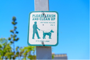Dog Walking Tips 5