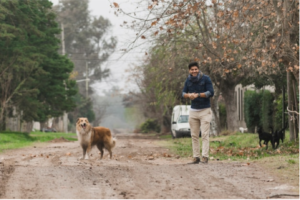 Dog Walking Tips 7