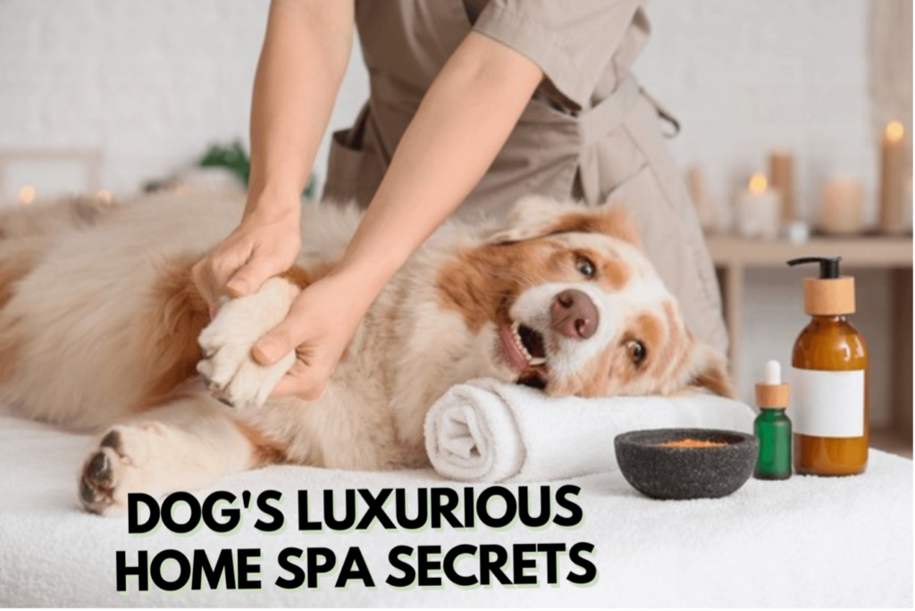 Luxurious Home Spa Secrets for Dogs