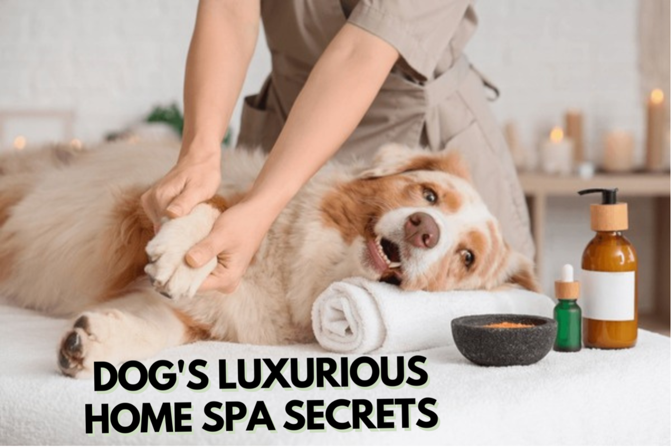 Luxurious Home Spa Secrets for Dogs