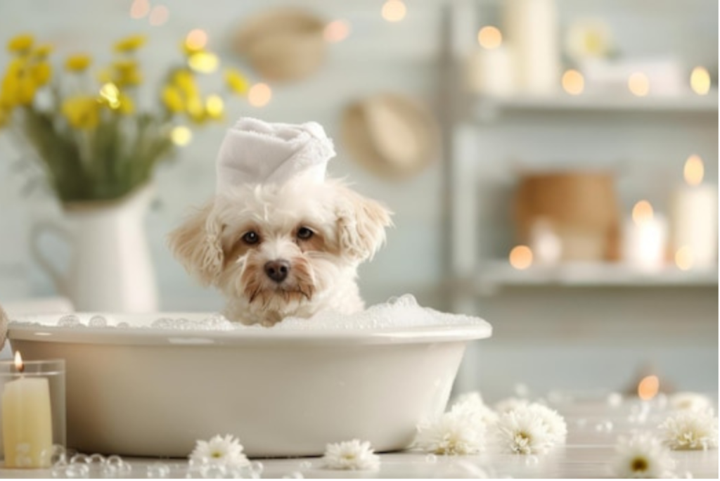 Transforming Bath Time into a Luxurious Experience