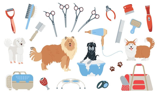 Essential Items for a Luxurious Dog Spa