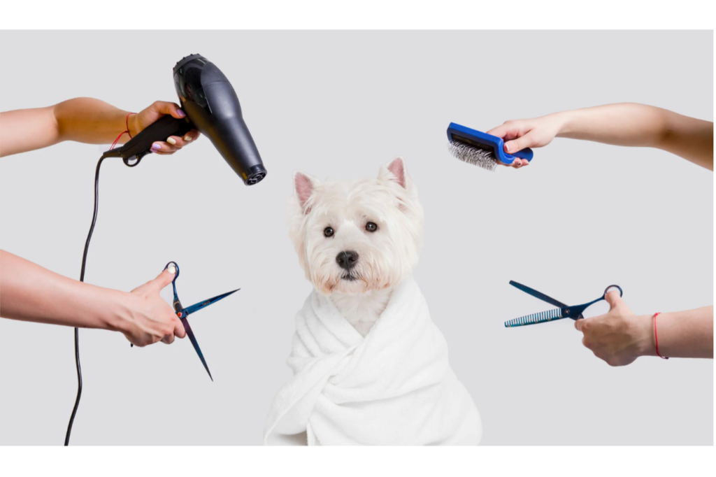 Tools for dog Shedding 
