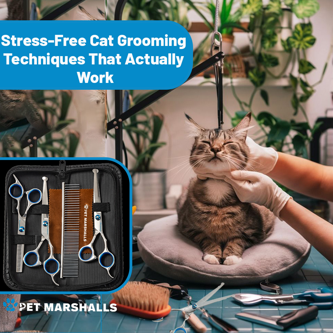 Cat Grooming Techniques