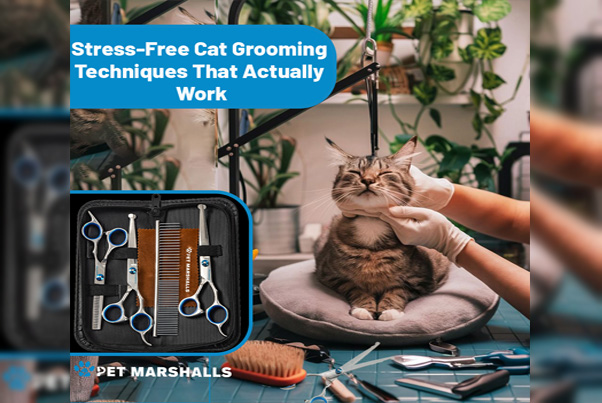 Cat Grooming Techniques