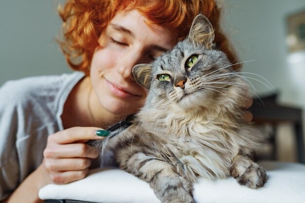 Calm Grooming Environment for Cats